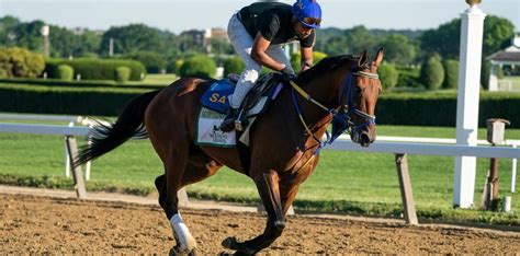 Horse Racing Best Bets for Saturday 3/9/24 .